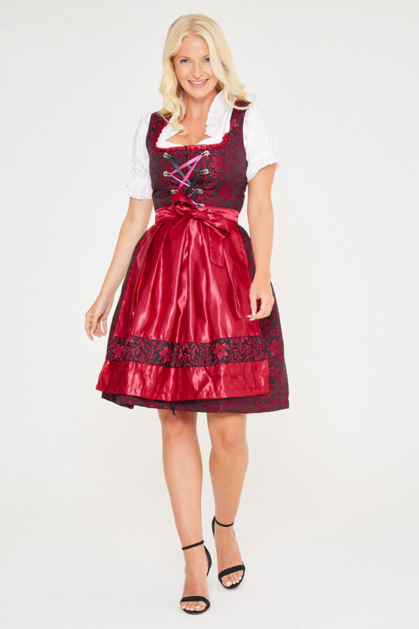 Blonde woman in red Alpentrachten Dirndl with apron. - Lederhosen For Sale