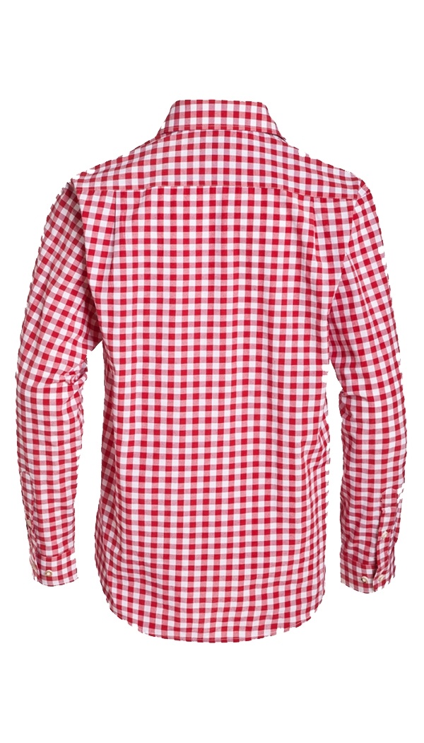 Back view of a men's red and white checkered button-down shirt. - Lederhosen For Sale